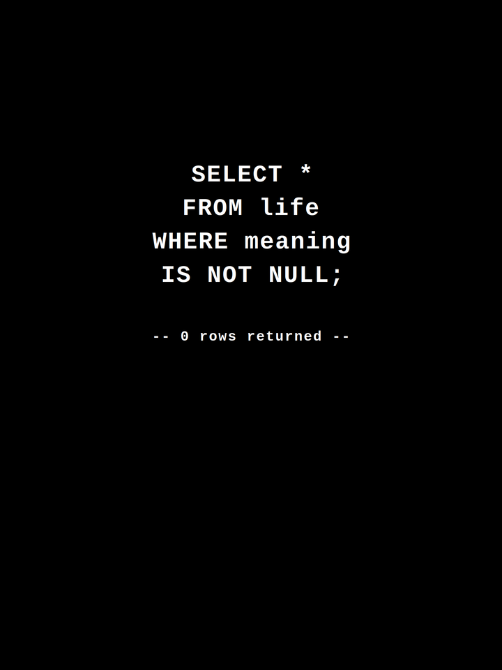 SELECT * FROM life WHERE meaning IS NOT NULL — SQL Developer Tee